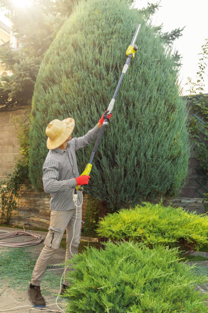 Best Tree Maintenance Programs  in Mcsherrystown, PA